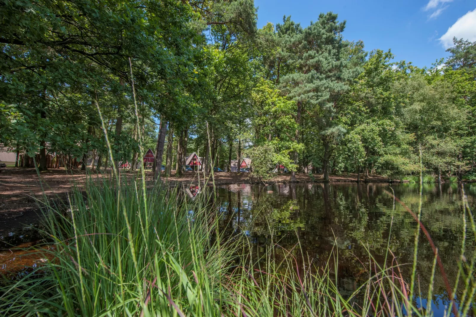 Bospark 't Wolfsven 11-Gebieden zomer 5km