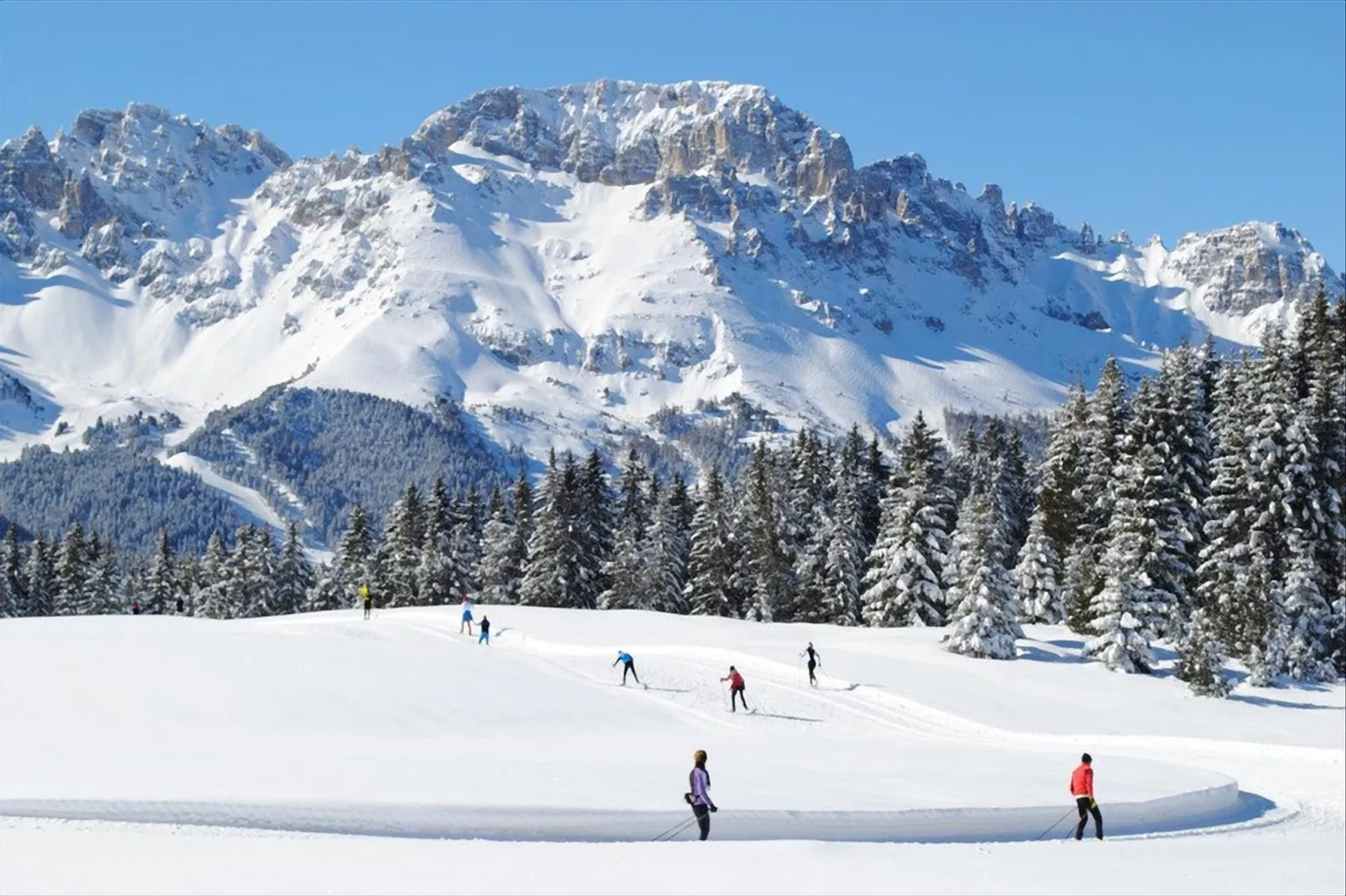 Negritella Quadri Sette-Gebied winter 20km