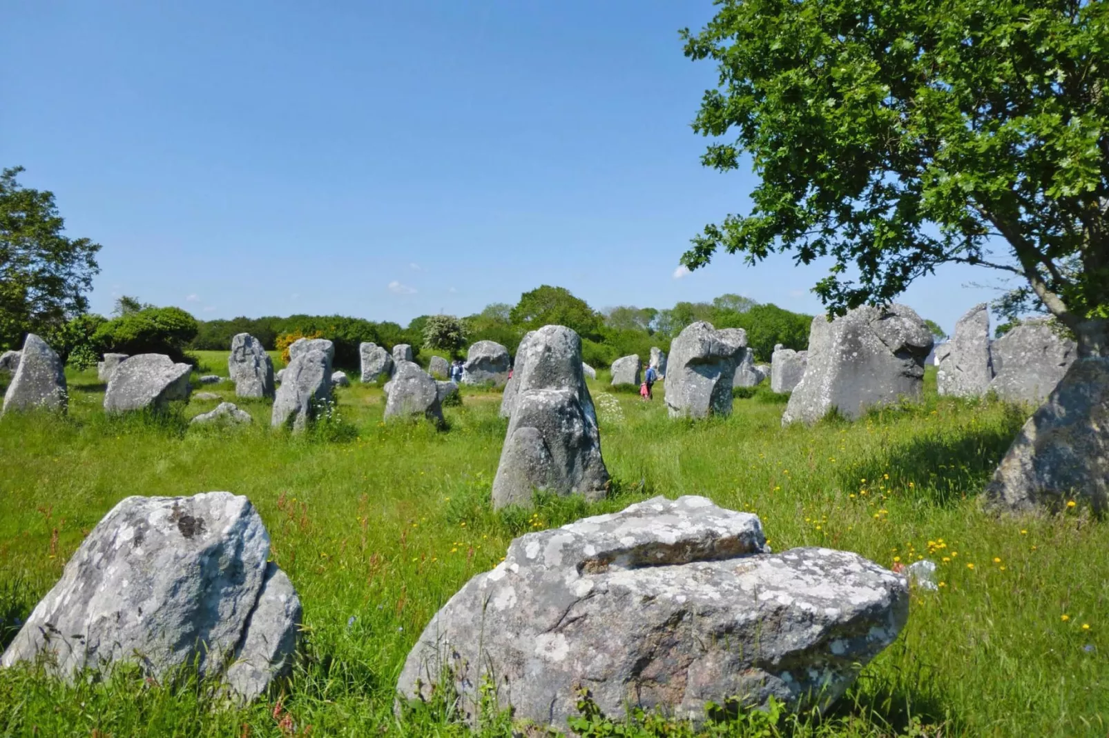 Holiday home Carnac-Gebieden zomer 20km