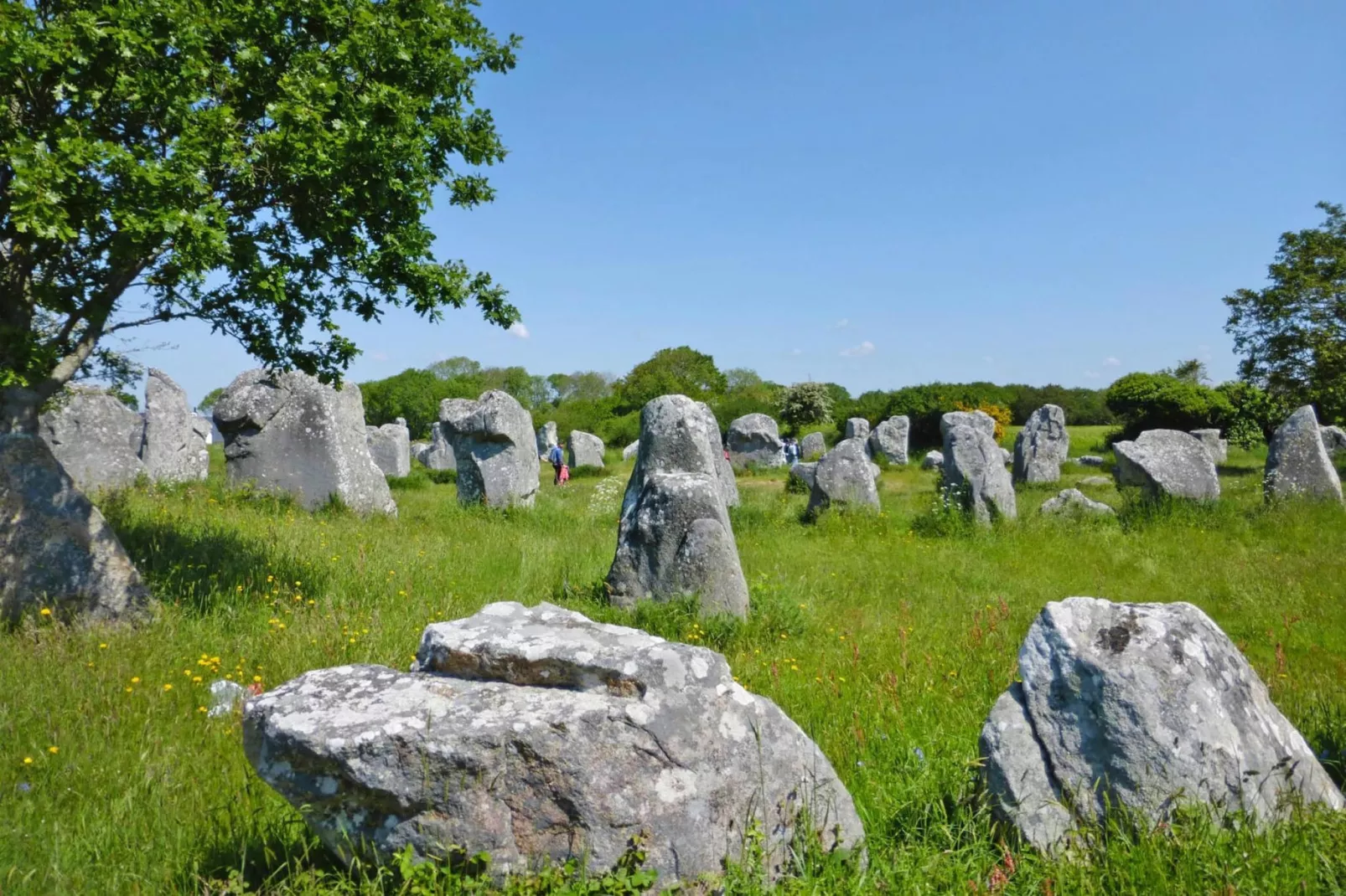 Holiday home Carnac-Gebieden zomer 20km