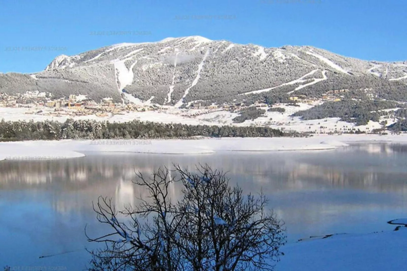 Goldkopf DG-Gebied winter 20km