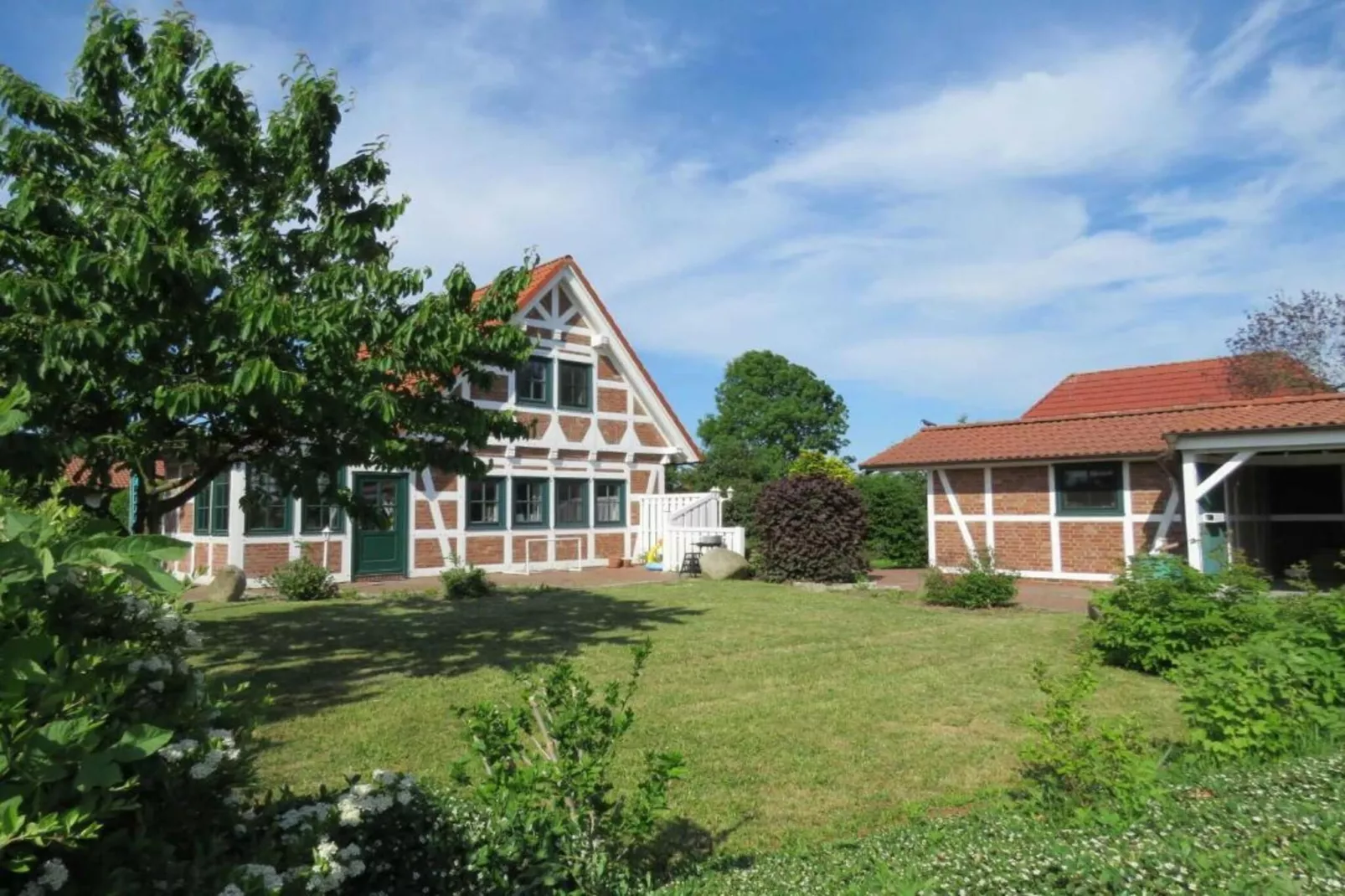 Ferienhaus in Hasselfelde - Haus 403 Auerhahn-Gebieden zomer 5km