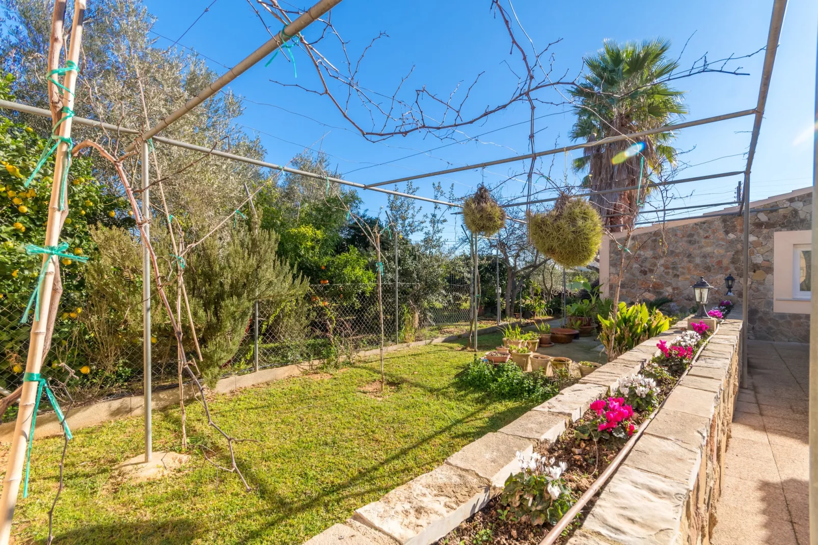 Can Mesquida, Finca 5StarsHome Mallorca-Tuinen zomer