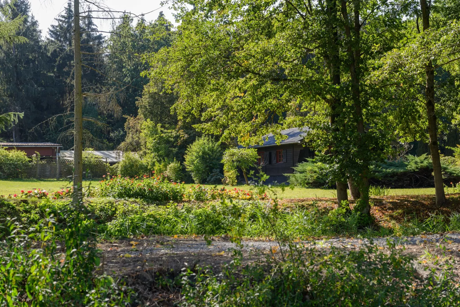 Lüneburger Heide-Gebieden zomer 1km