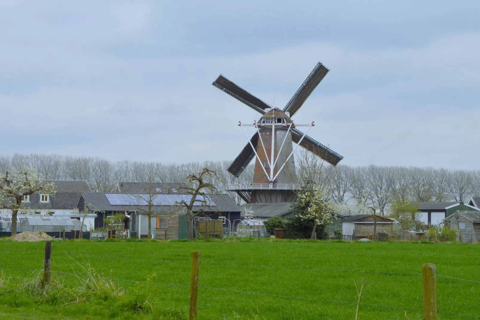 Vakantiehuis De Vlonder-Uitzicht zomer