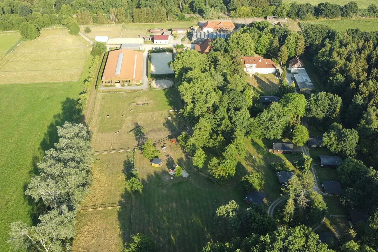 Lüneburger Heide-Gebieden zomer 1km