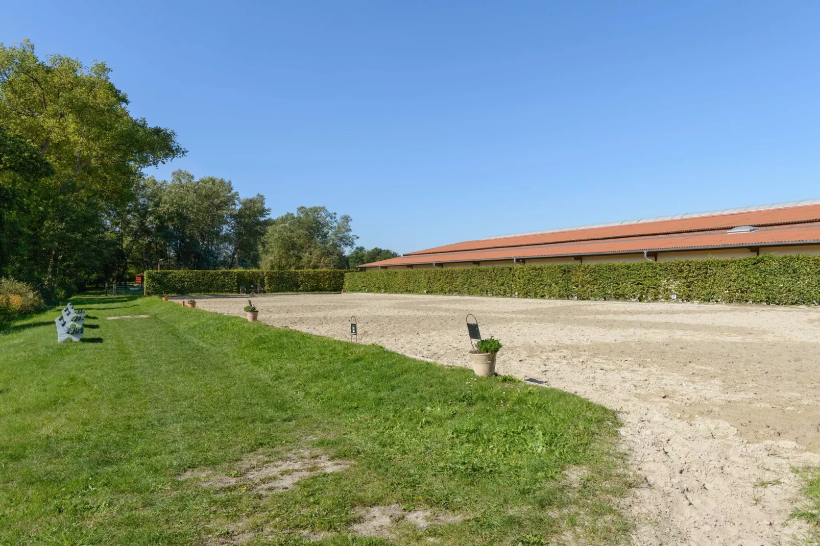 Lüneburger Heide-Gebieden zomer 1km