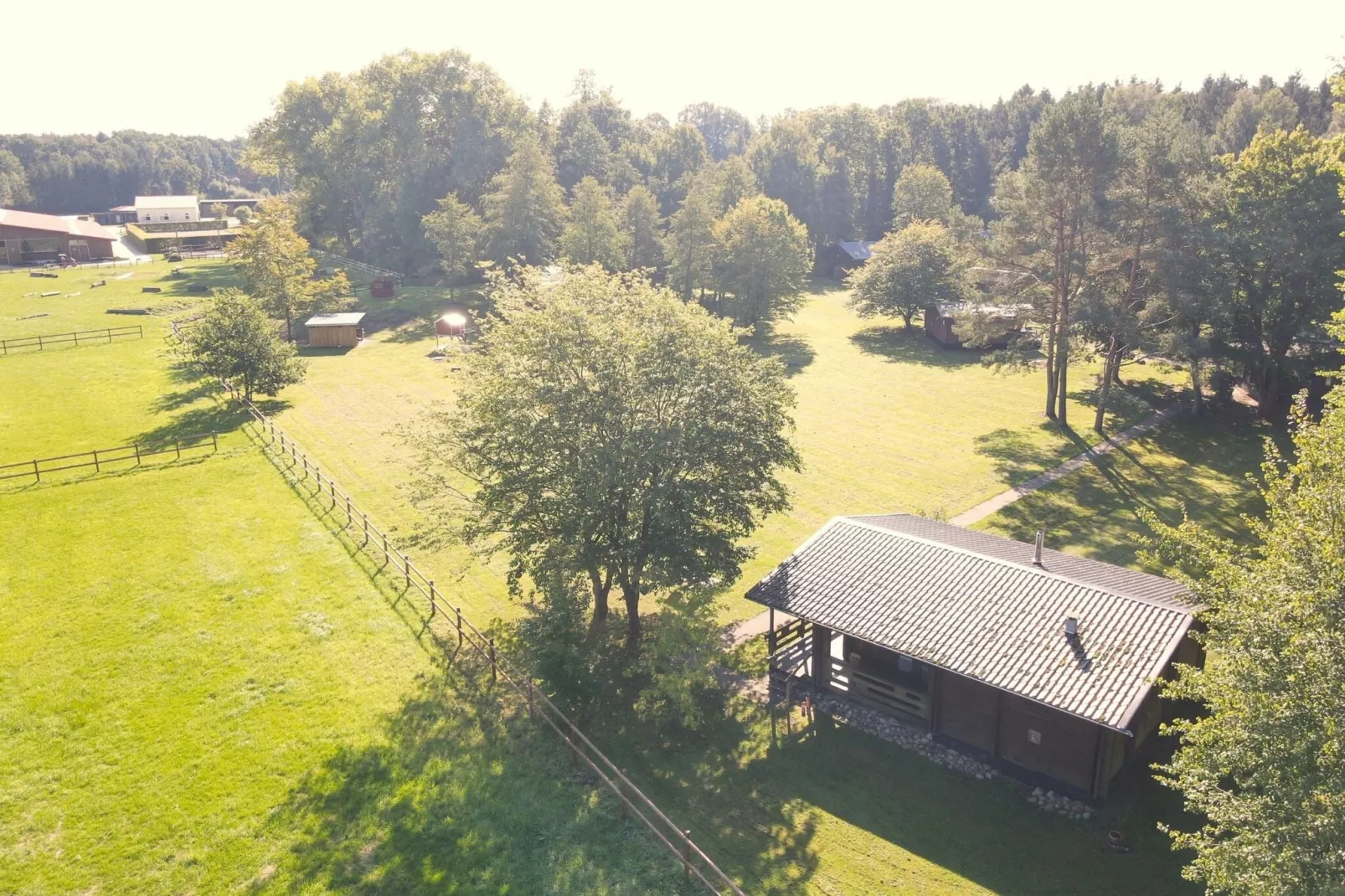 Lüneburger Heide-Uitzicht zomer