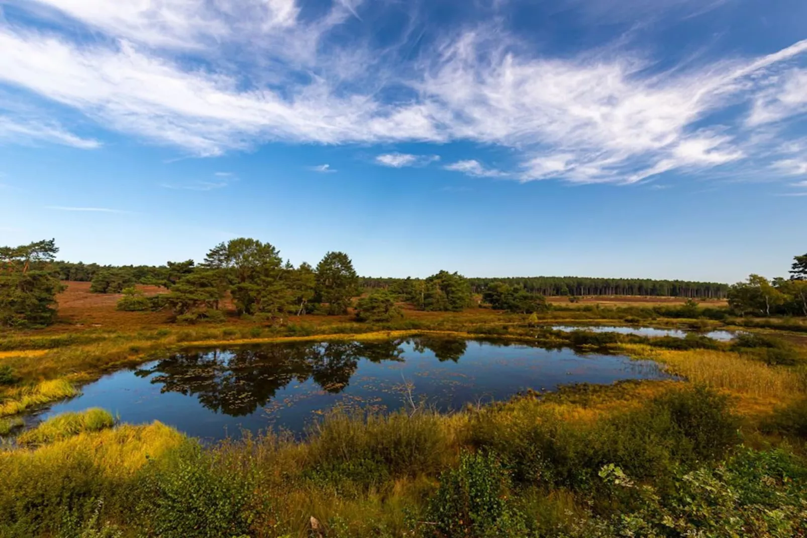 Resort Hoge Kempen 14-Gebieden zomer 1km