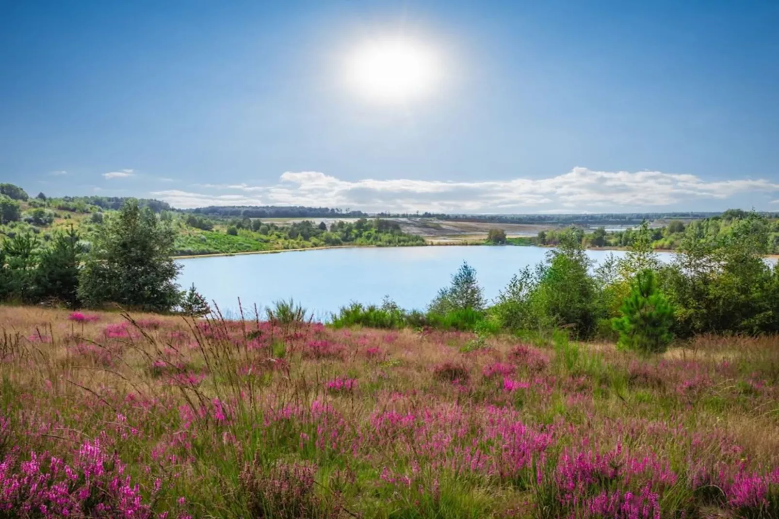 Resort Hoge Kempen 14-Gebieden zomer 1km