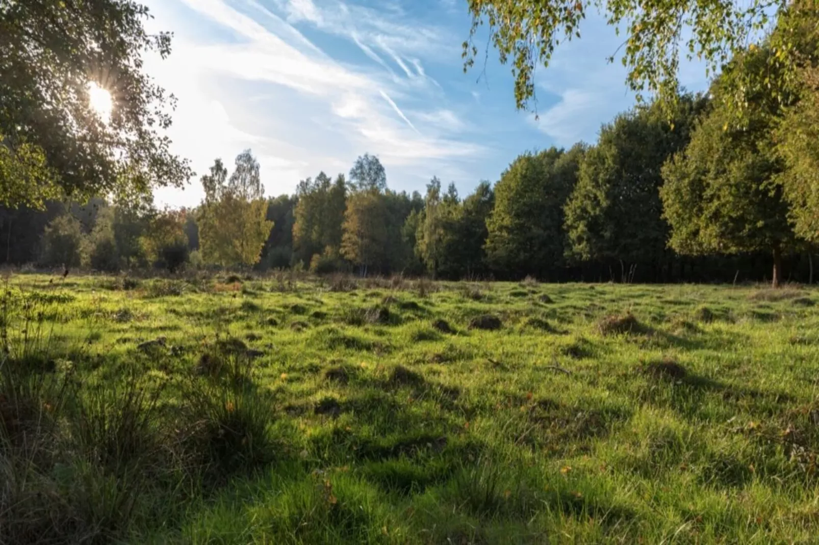 Resort Hoge Kempen 14-Gebieden zomer 1km