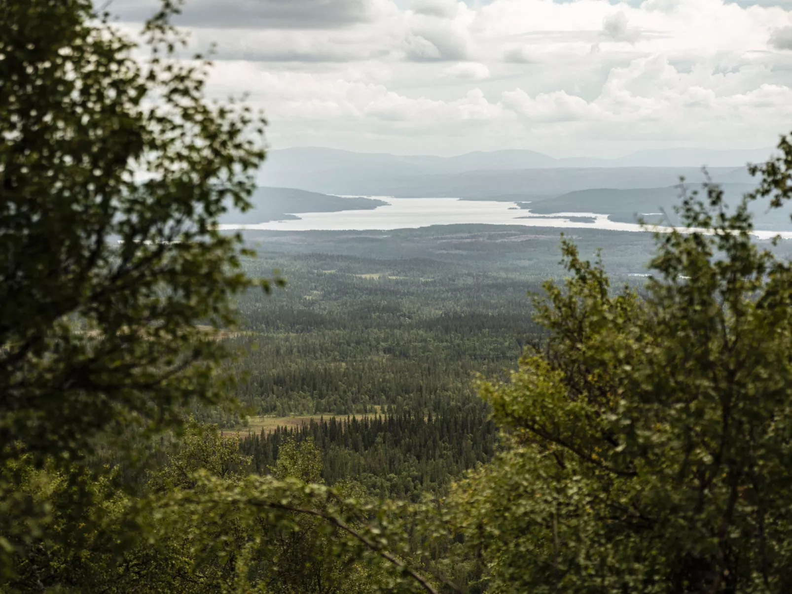 Trillevallen Fjällripan-Omgeving