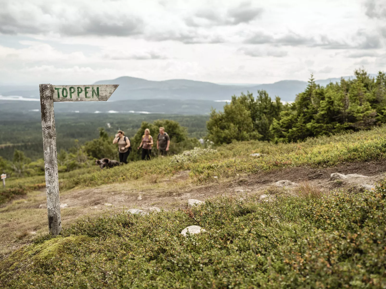 Trillevallen Fjällripan-Omgeving