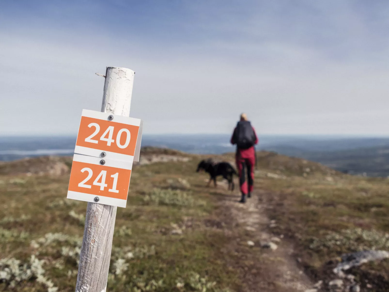 Trillevallen Fjällripan-Omgeving