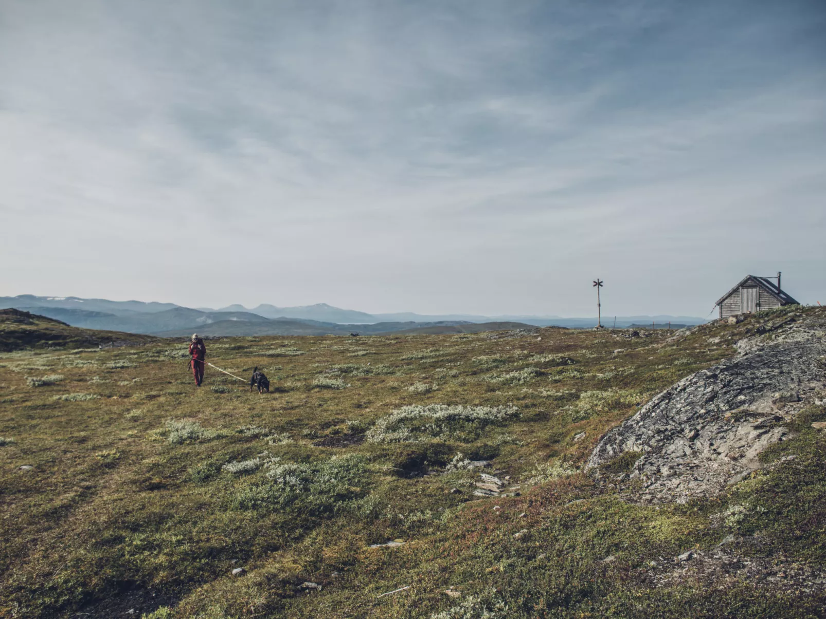 Trillevallen Fjällripan-Omgeving