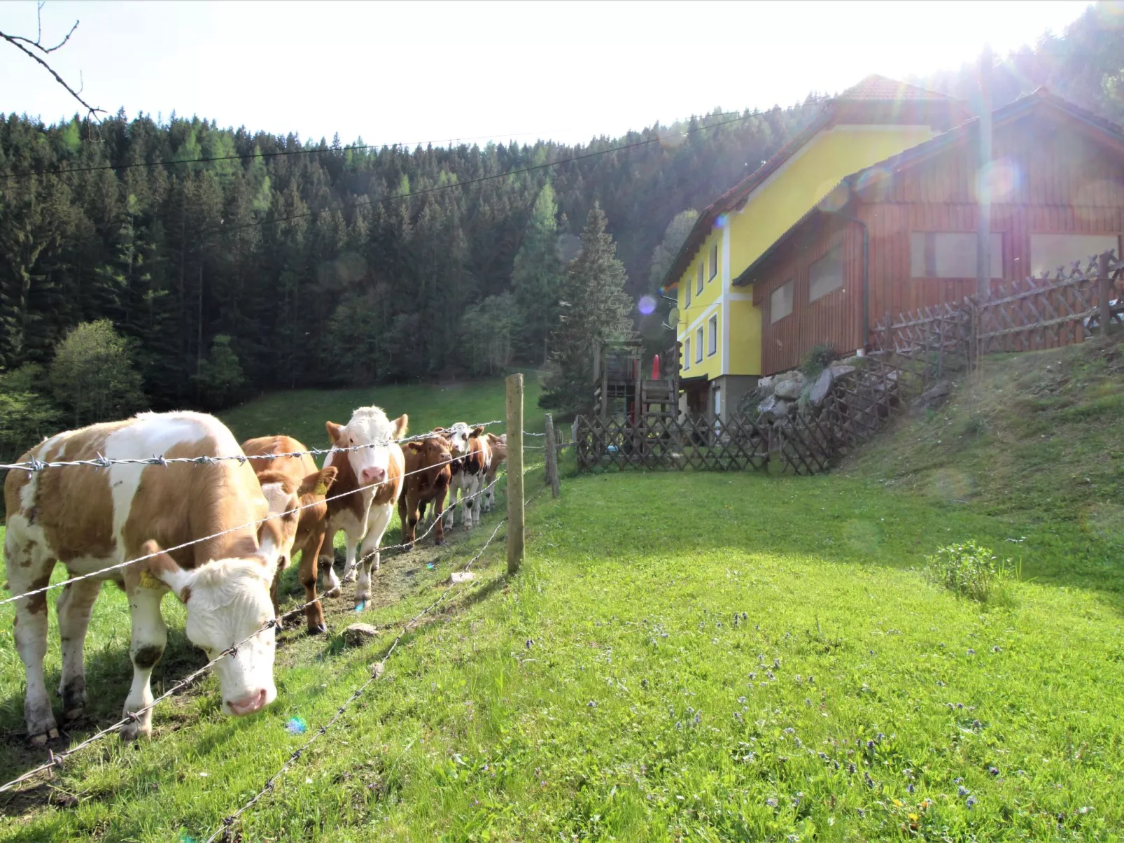 Krechen Alm-Buiten