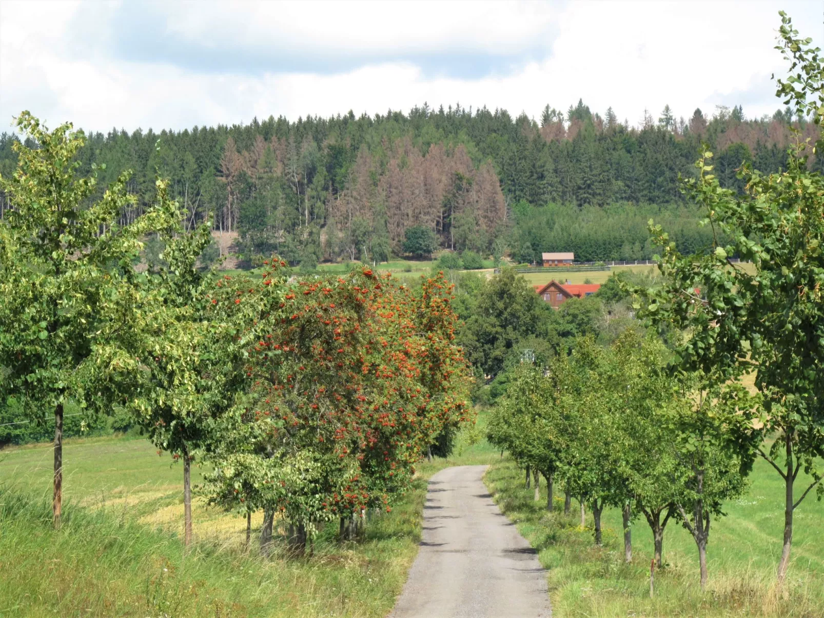 Růžovka-Buiten