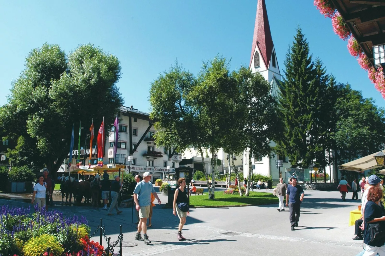 Menardi D-Gebieden zomer 20km