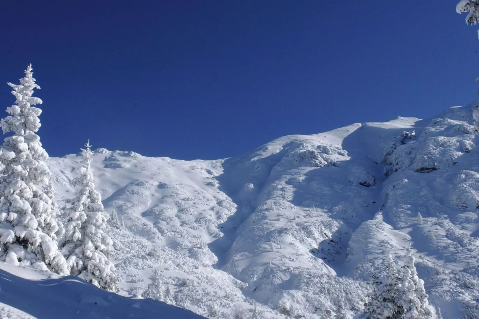 Menardi D-Gebied winter 20km