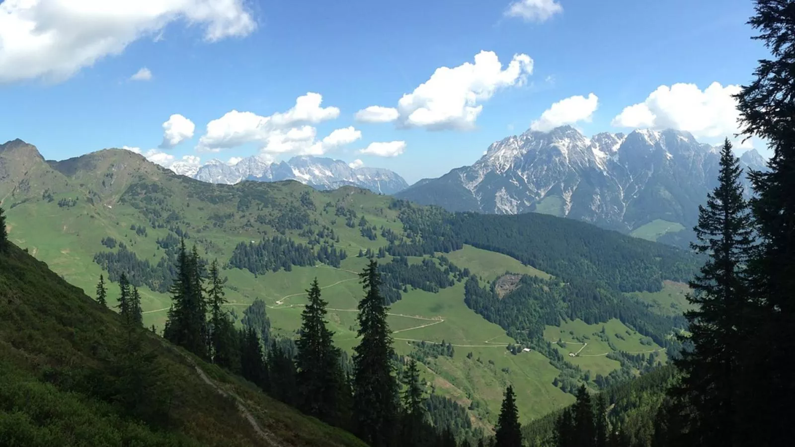 Vorderbichlhof-Gebieden zomer 20km