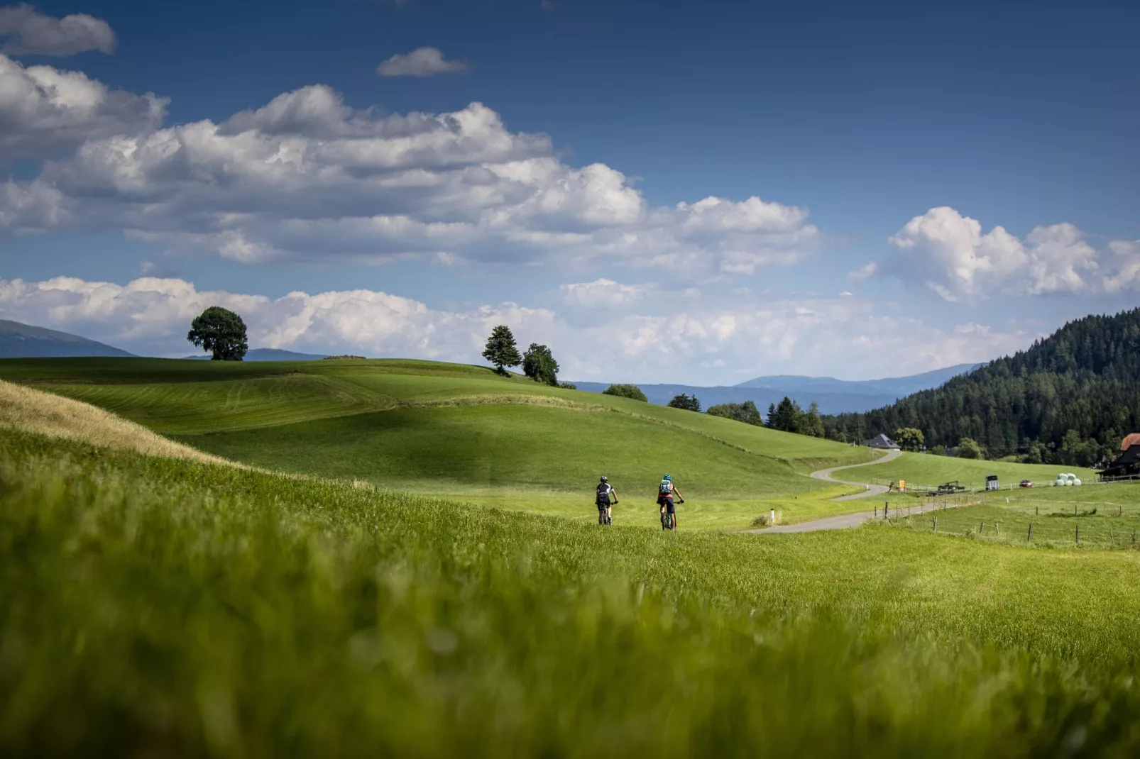 Ferienpark Kreischberg 13-Gebieden zomer 20km