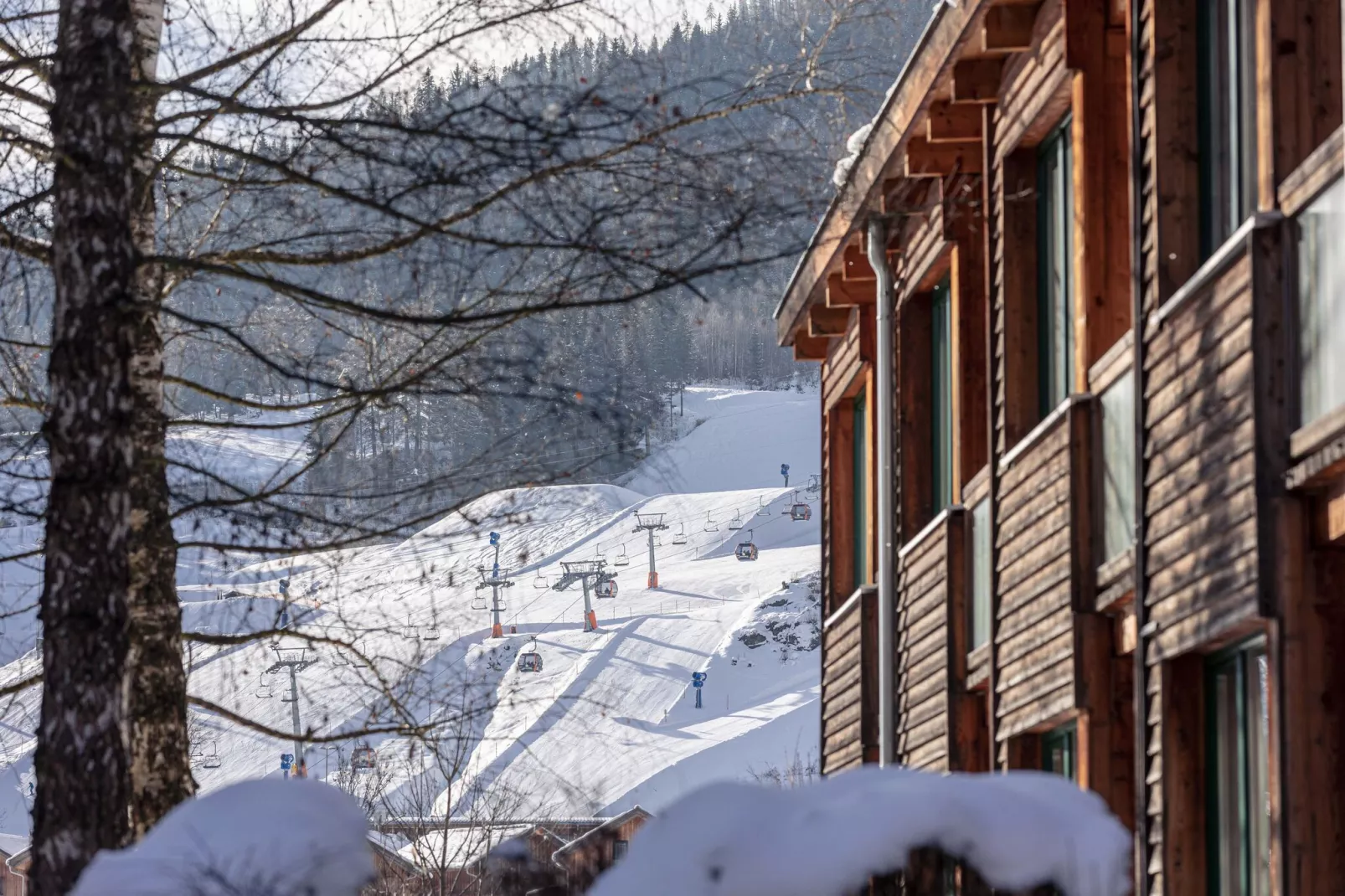 Ferienpark Kreischberg 14-Uitzicht winter