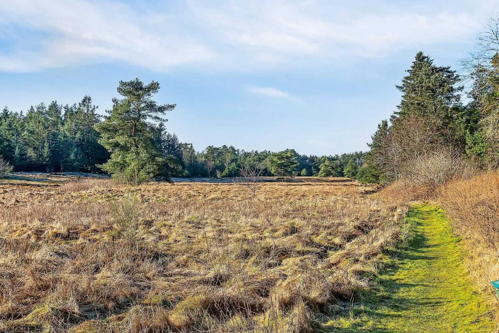 6 persoons vakantie huis in Bording-Uitzicht