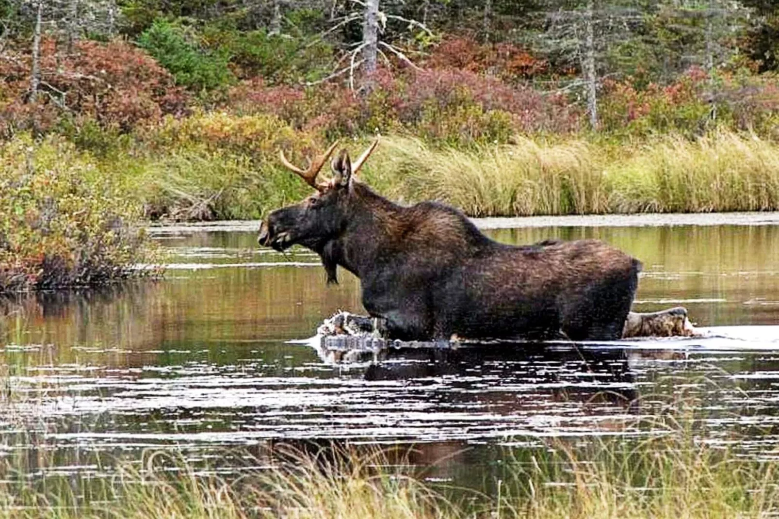 5 persoons vakantie huis in Fjärås-Uitzicht