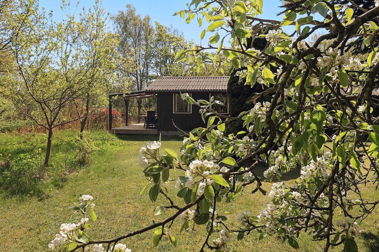 6 persoons vakantie huis in Læsø-Buitenlucht