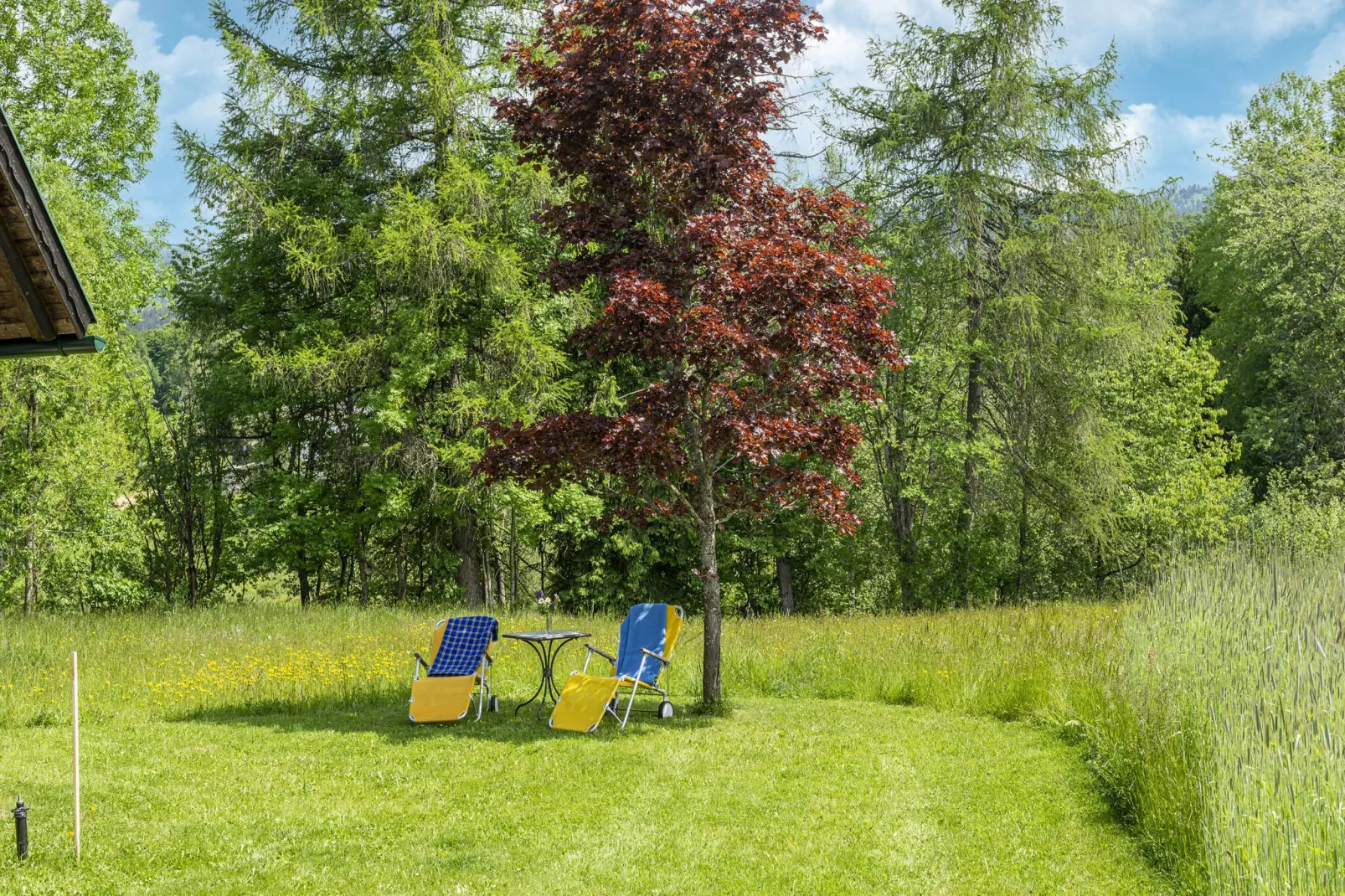 Chalet Fam Rammelmüller-Tuinen zomer