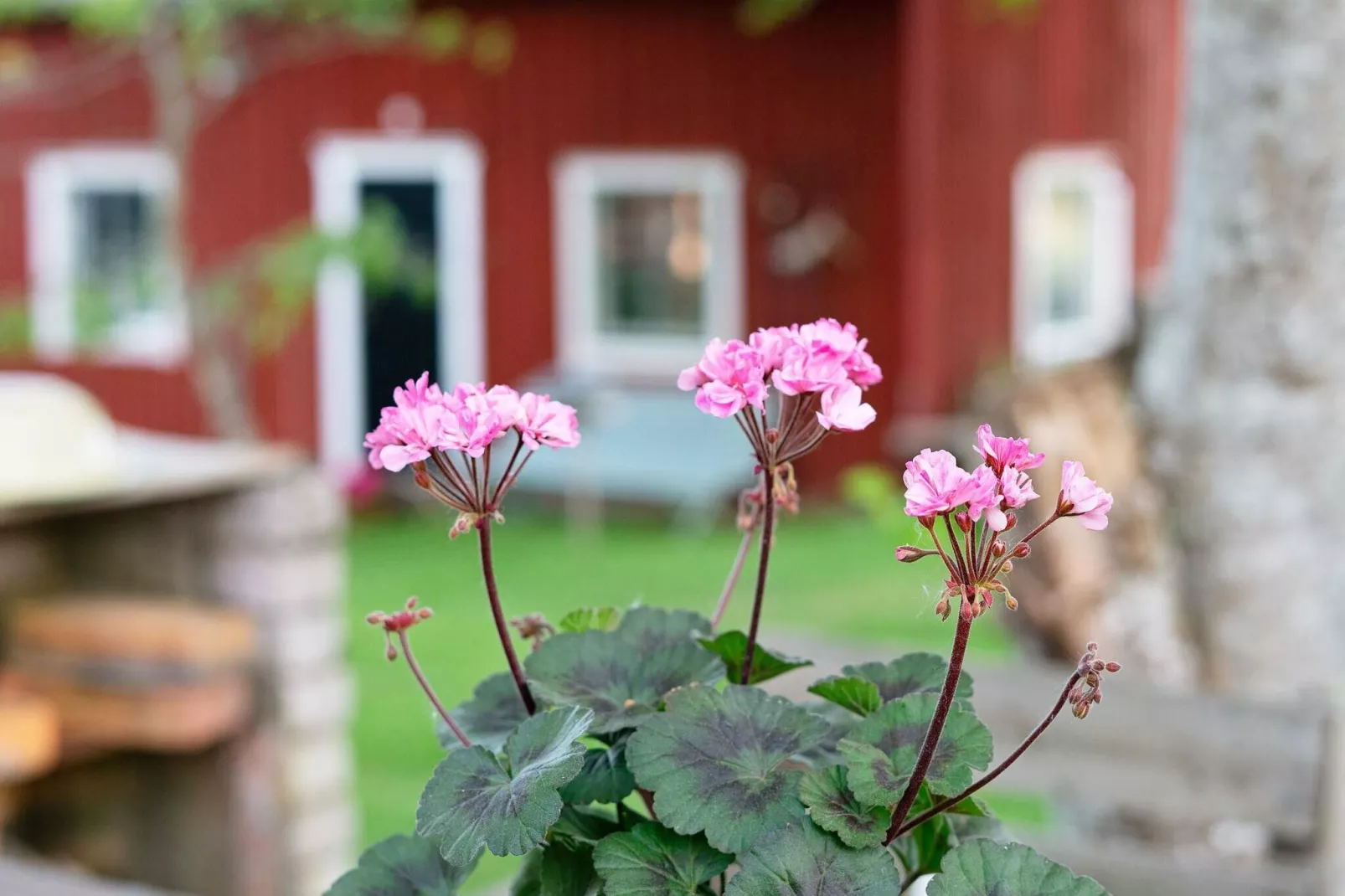 2 persoons vakantie huis in NÄSSJÖ-Buitenlucht