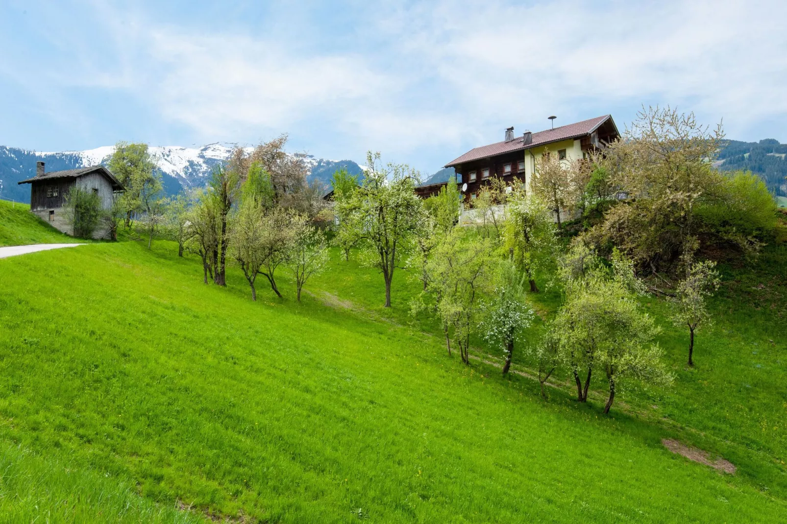 Klammerhof - Zillertalblick klein-Gebieden zomer 1km