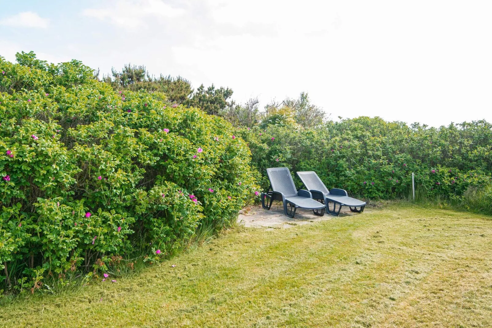 5 persoons vakantie huis in Ringkøbing-Uitzicht