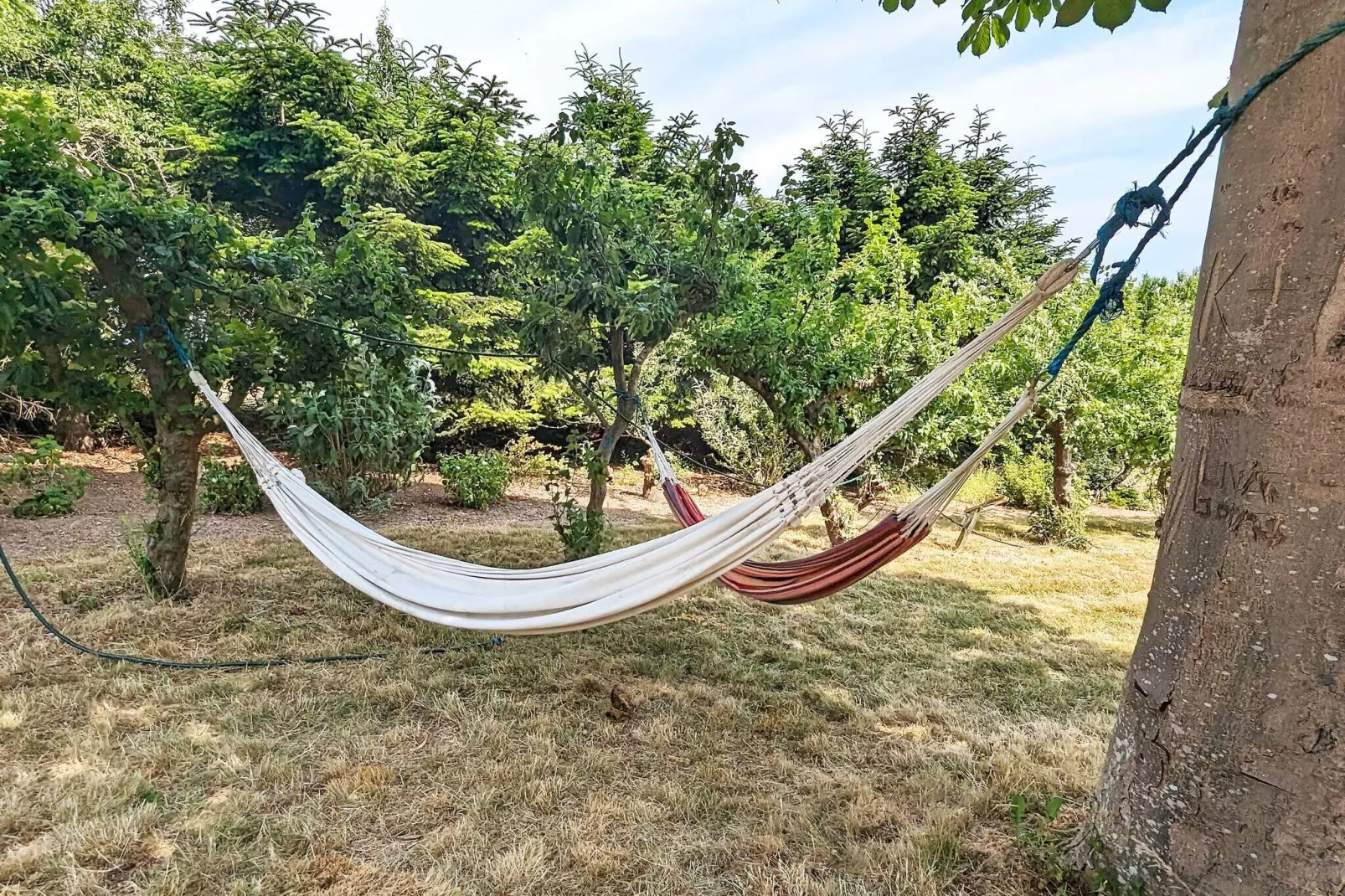 6 persoons vakantie huis in Søby Ærø-Buitenlucht