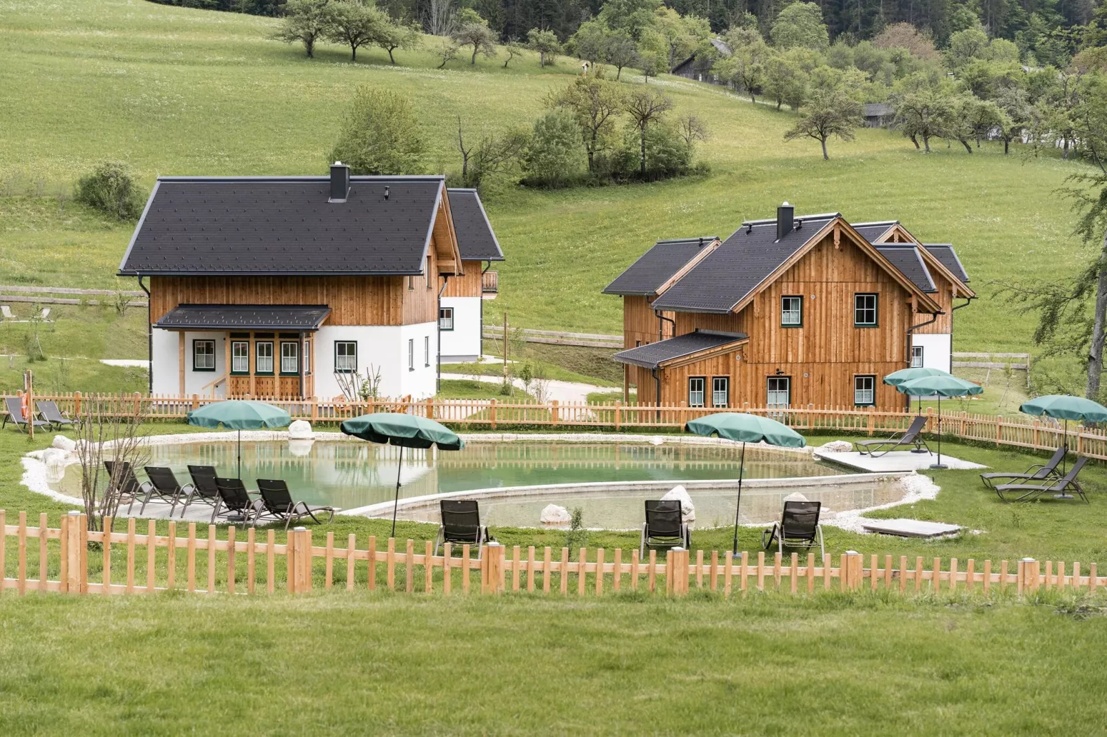 Ferienhaus Toplitzsee-Gebieden zomer 1km