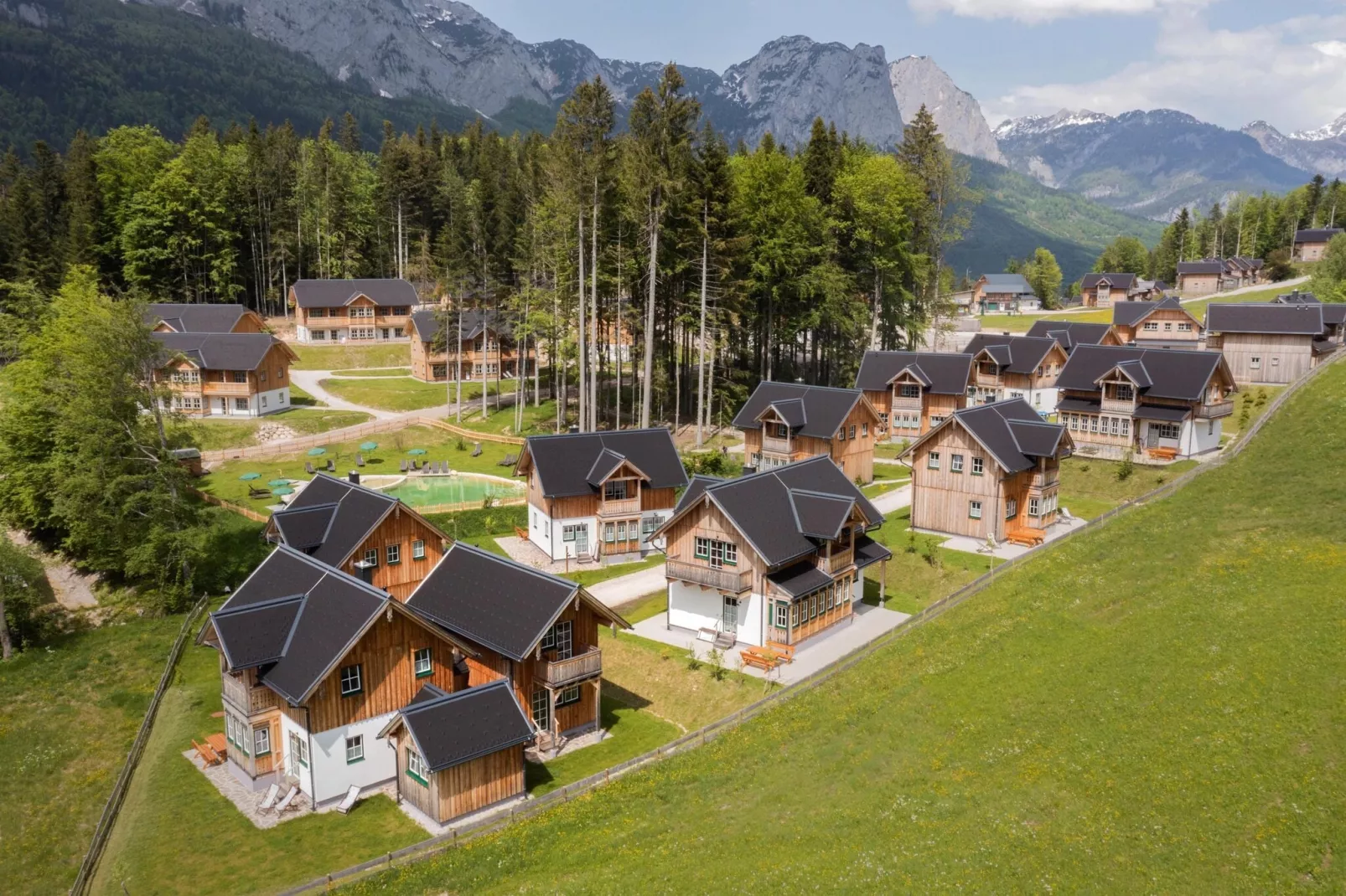 Ferienhaus Toplitzsee-Gebieden zomer 1km