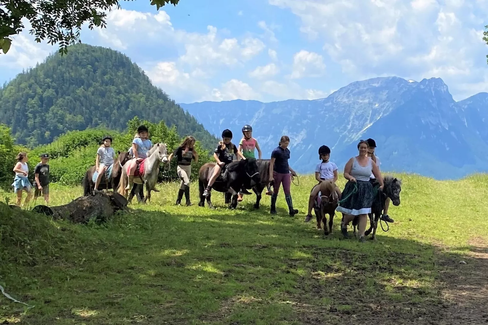 Ferienhaus Toplitzsee-Gebieden zomer 5km