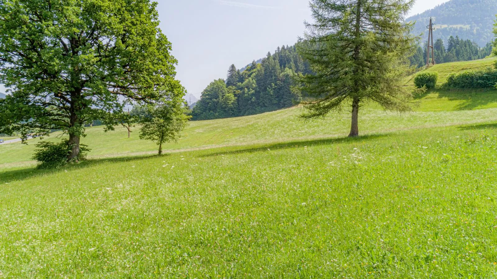 Klein Hintermühltalhof-Uitzicht zomer