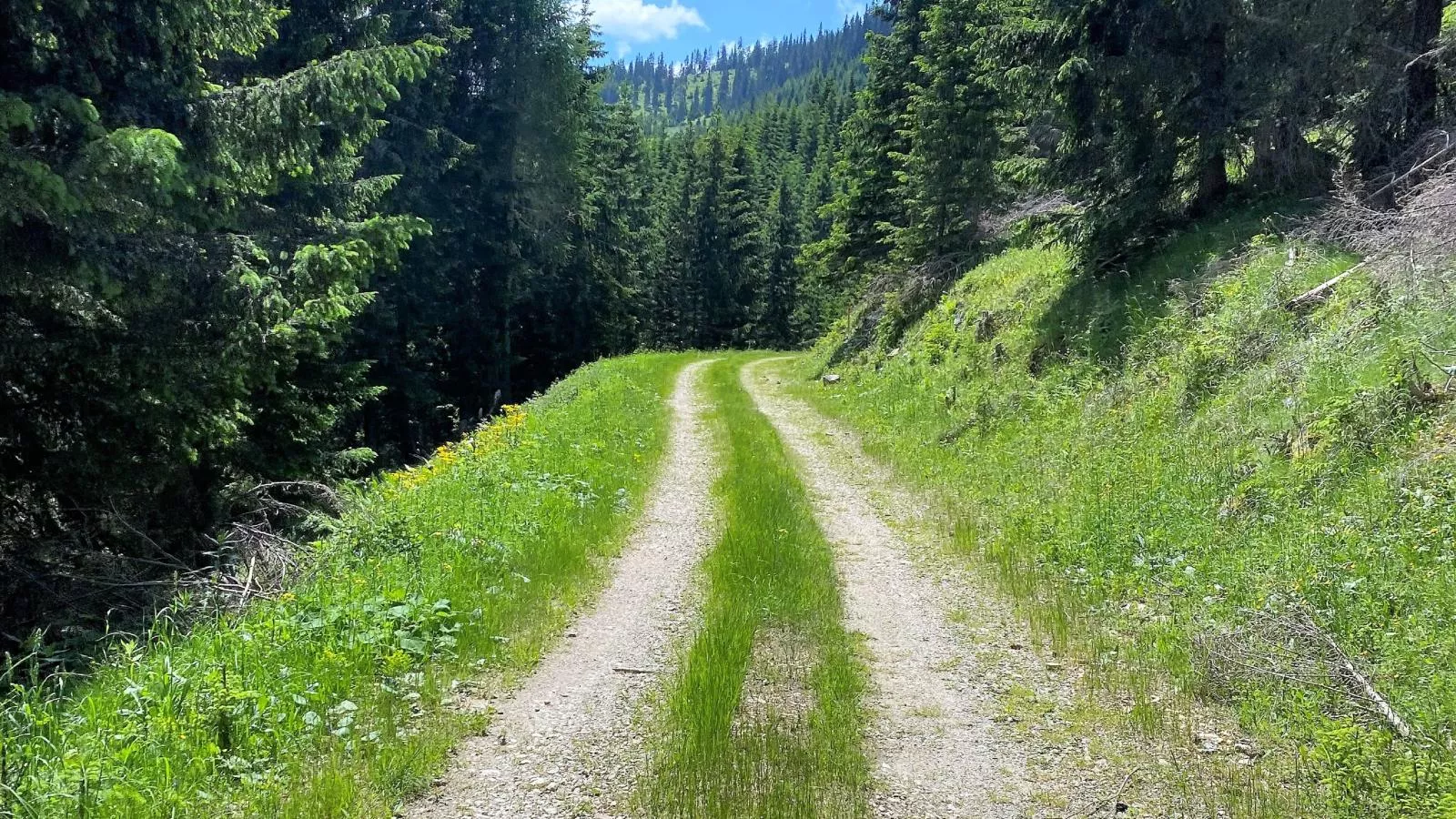 Grebenzen Lodge 1028-Gebieden zomer 5km