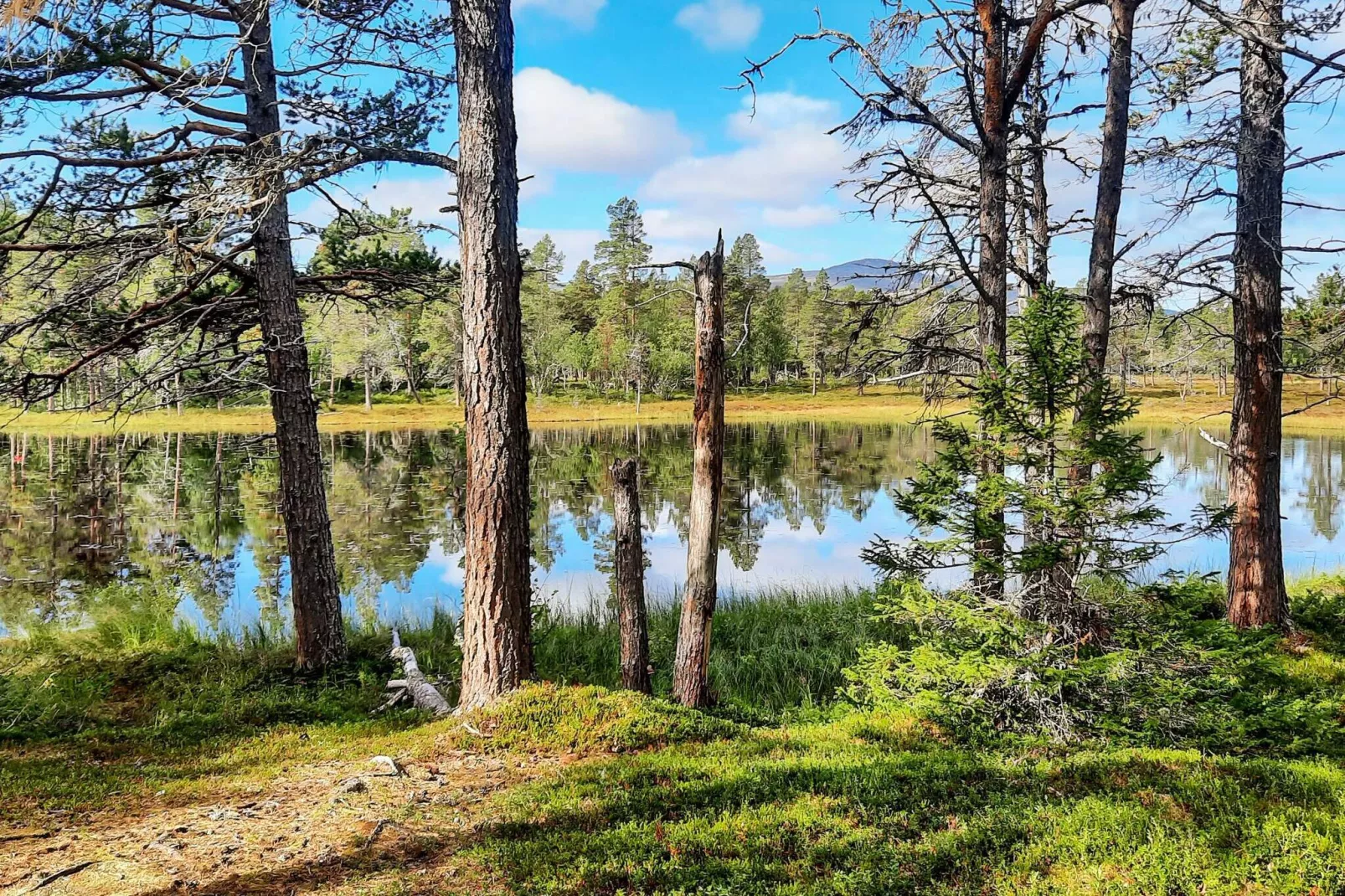 6 persoons vakantie huis in JÄRPEN-Buitenlucht