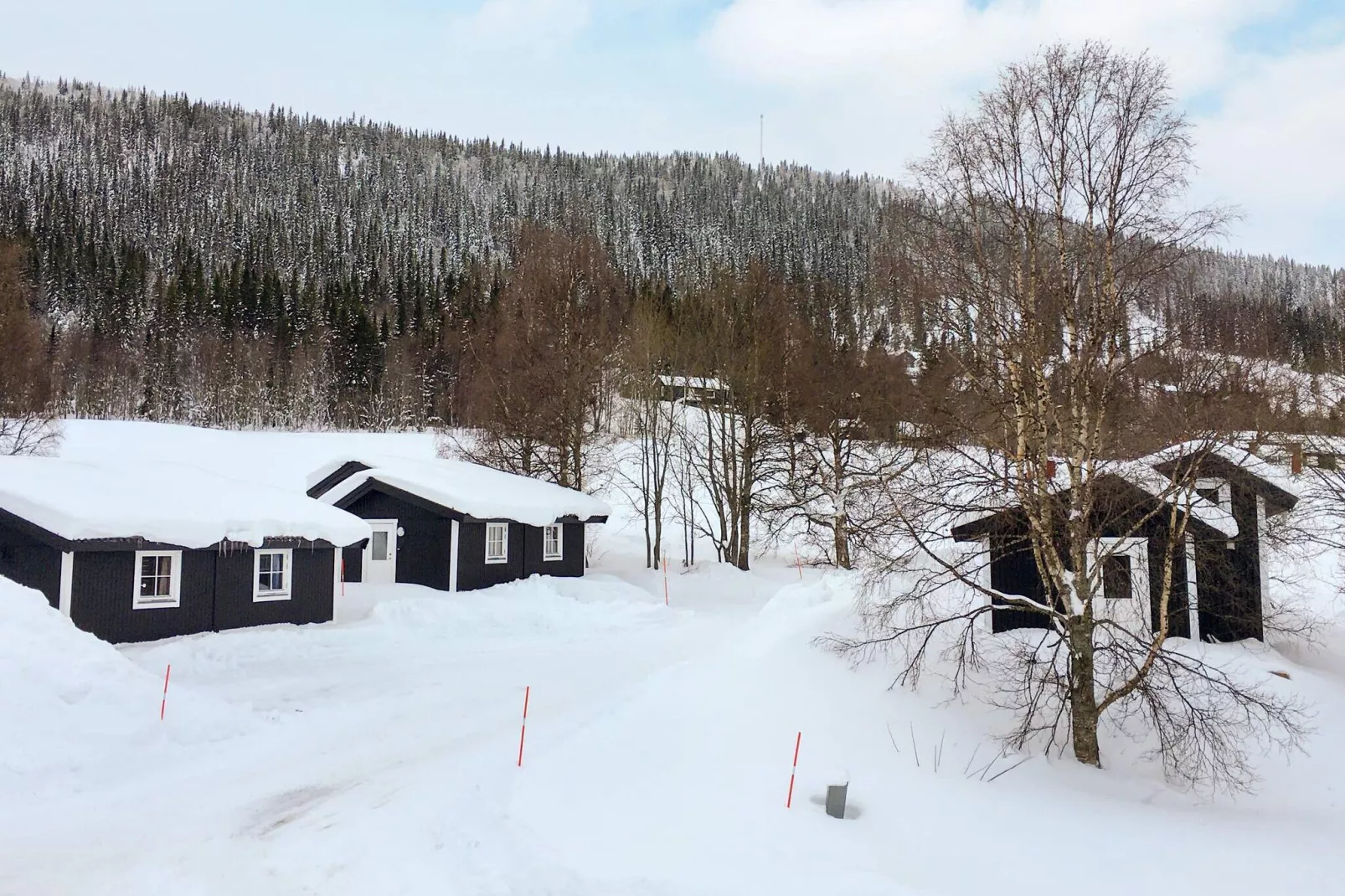 6 persoons vakantie huis in JÄRPEN-Buitenlucht