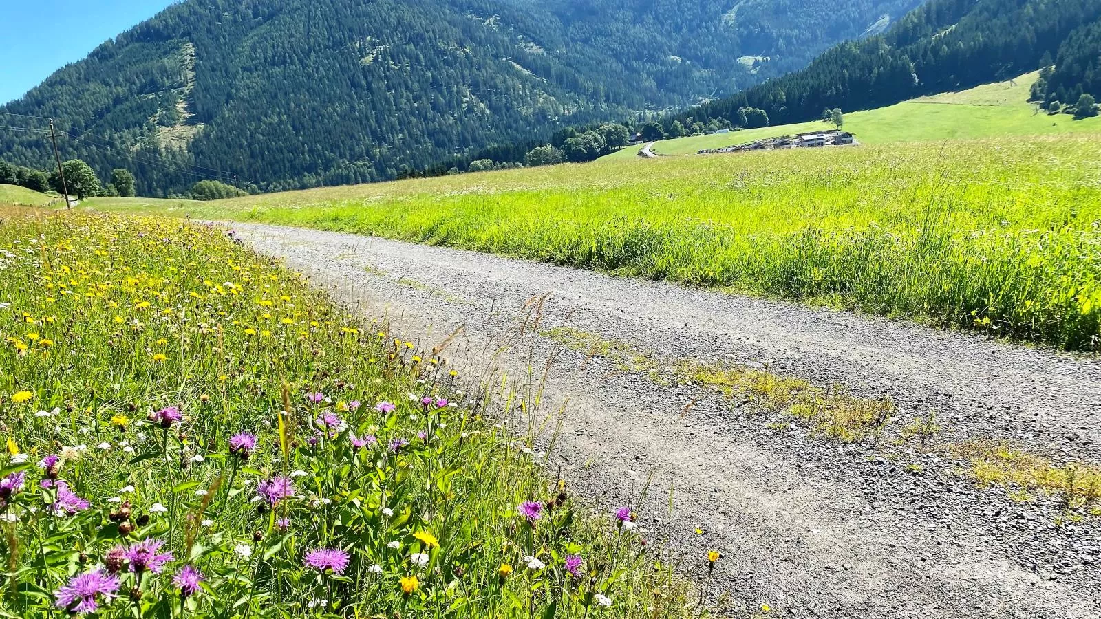 Grebenzen Lodge 1028-Gebieden zomer 1km