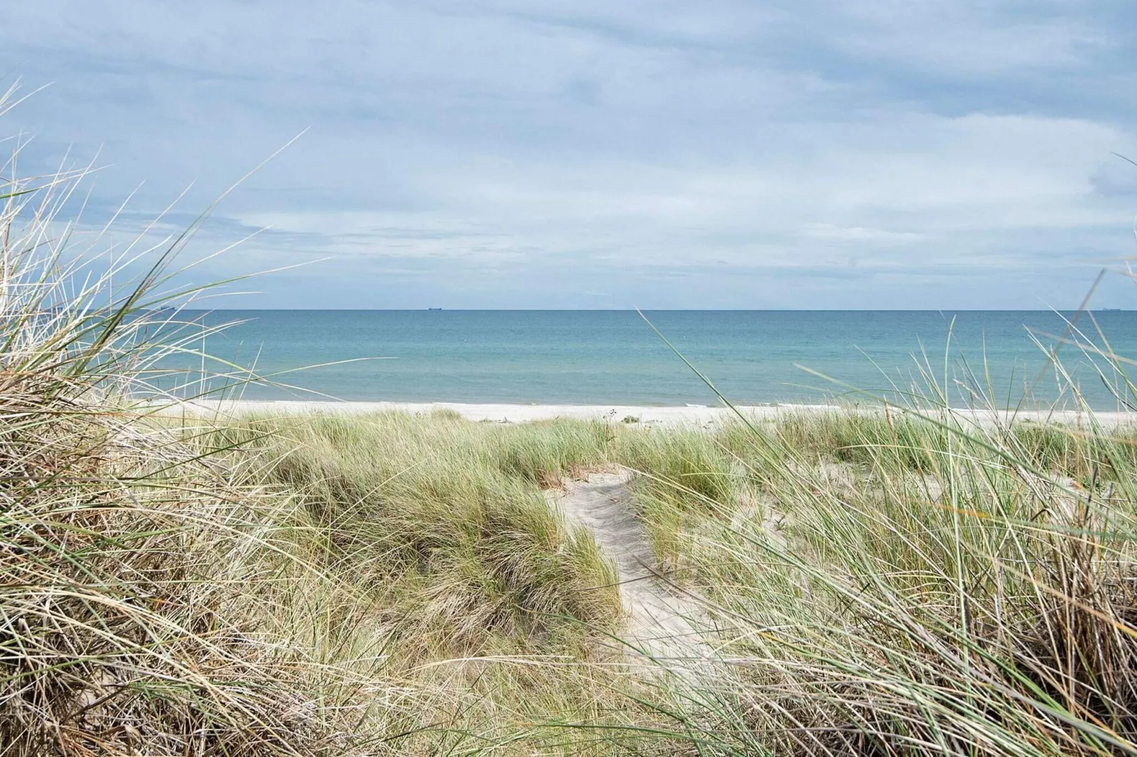 6 persoons vakantie huis in Ålbæk-Uitzicht