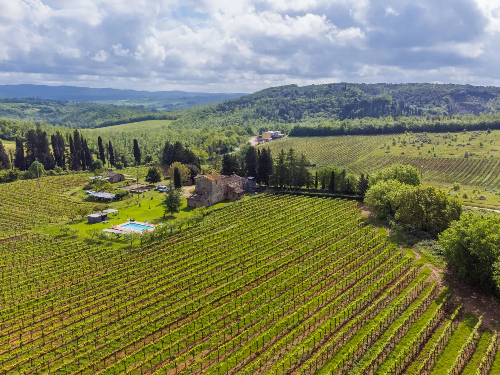 Fattoria Petraglia - Cedro-Buiten