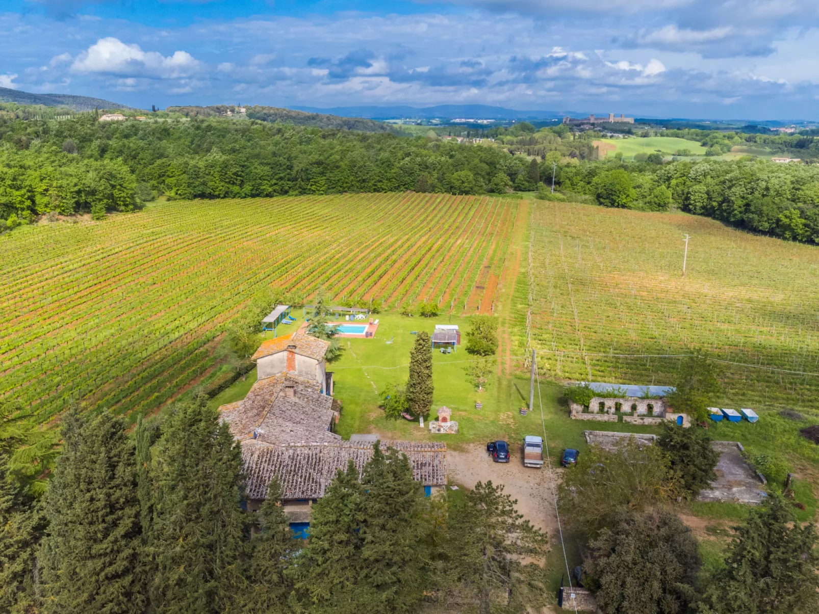 Fattoria Petraglia - Terrazza-Buiten