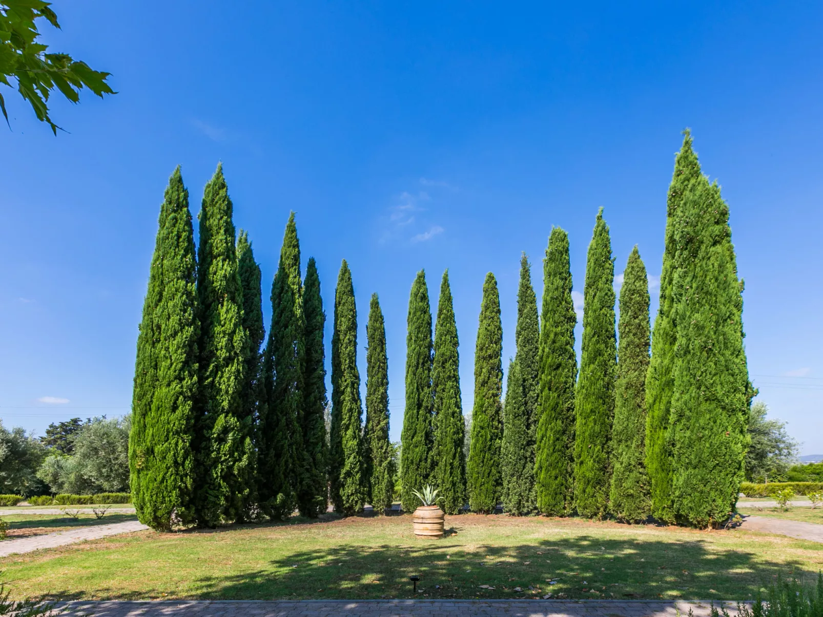 Quercia Alta-Buiten