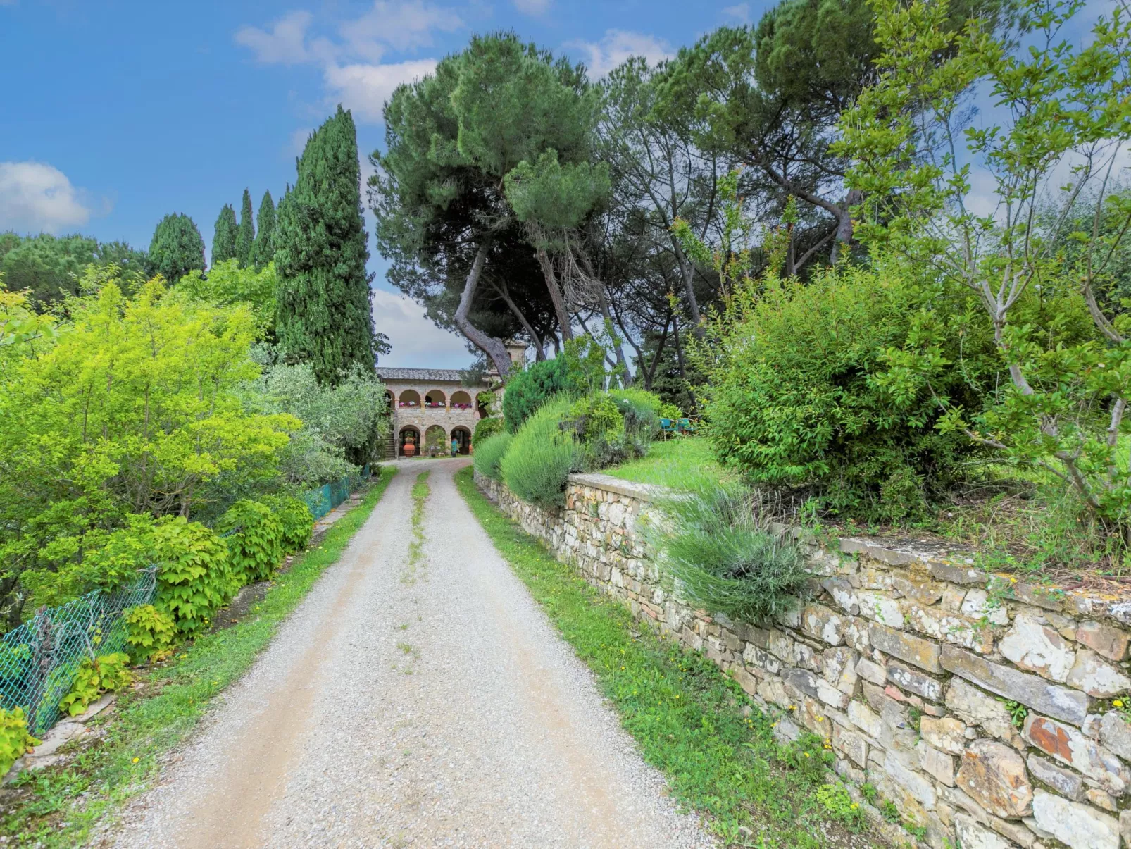 Cellole - Valluccia-Buiten