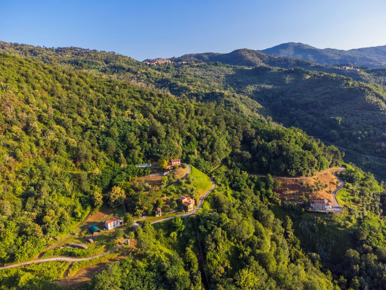 Podere Cima a Zano / Apt.Alfiero-Buiten