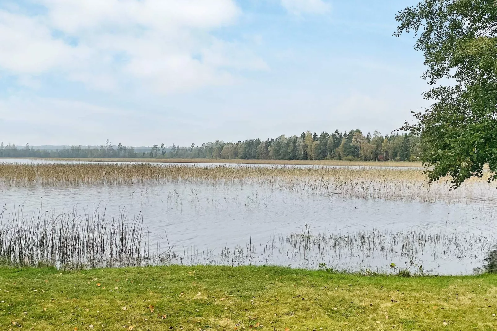 3 persoons vakantie huis in GRIMSTORP-Buitenlucht