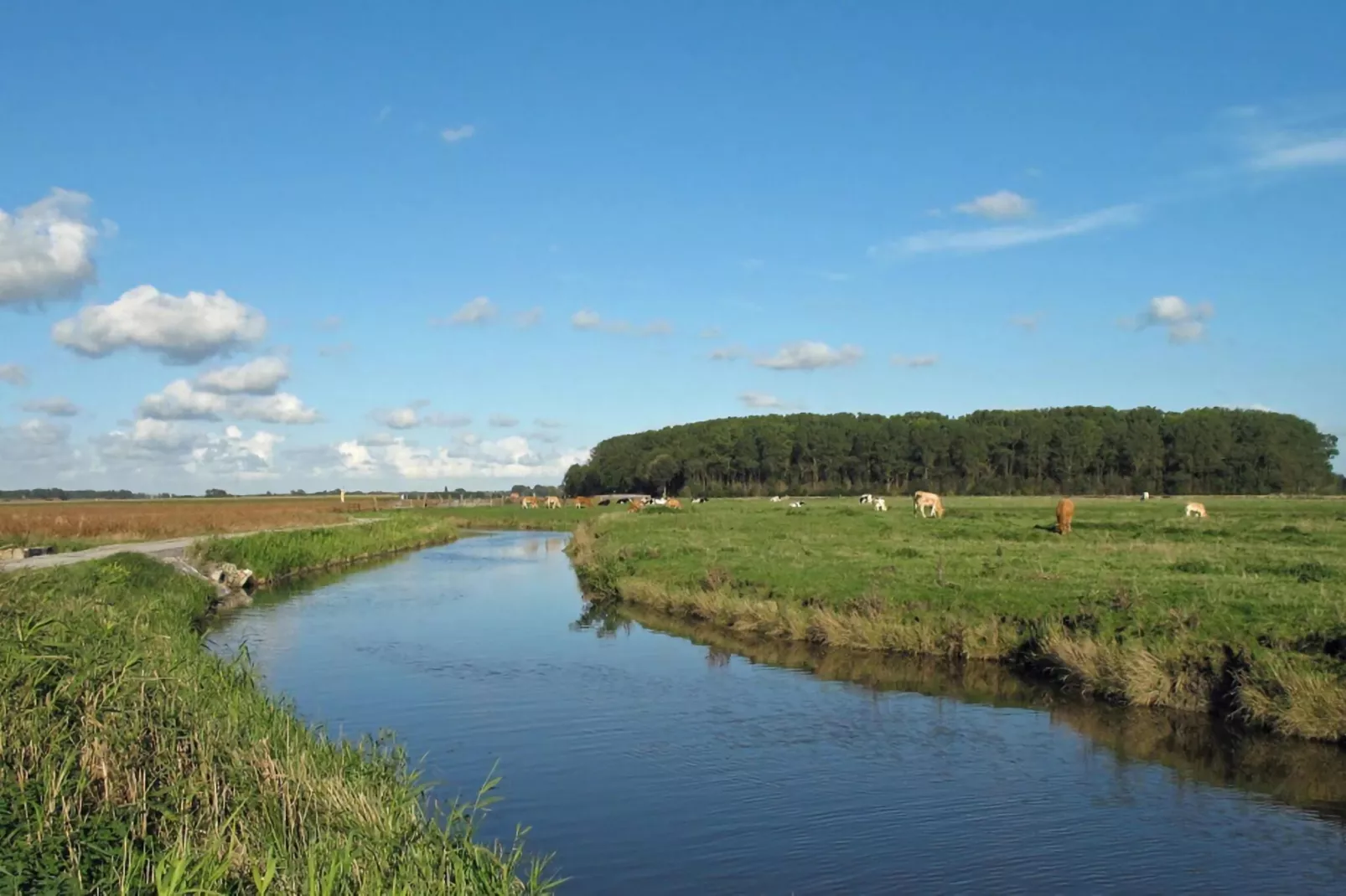 D'Ereplatse comfortkamer-Gebieden zomer 5km